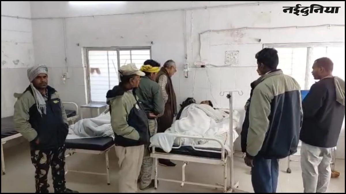 पन्ना टाइगर रिजर्व में 'खूनी' संघर्ष, तस्करों ने वनकर्मियों को कुल्हाड़ी से काटा, गार्ड-श्रमिक लहूलुहान