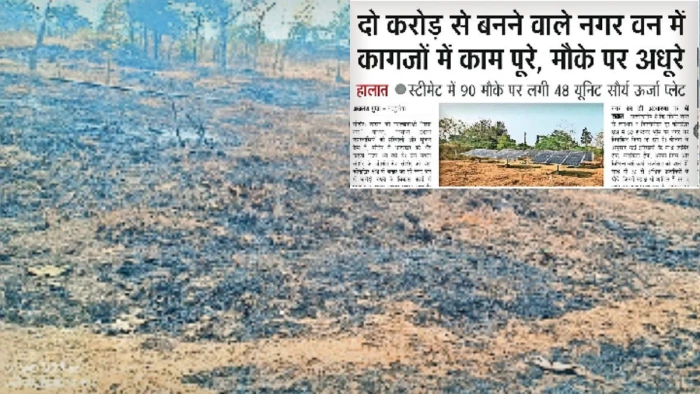 कोनाझिर क्षेत्र में बनाए जा रहे नगर वन प्रोजेक्ट में भ्रष्टाचार, एस्टीमेट से अधिक के बिल बनाकर भुगतान की कोशिश