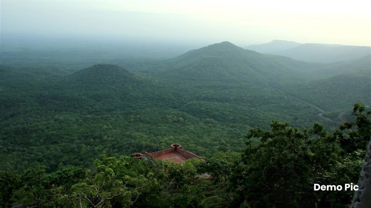 Indore News: आदिवासी-स्थानीय लोगों का रोजगार छिना, अब जंगल में ठेकेदार लगाएंगे पौधे