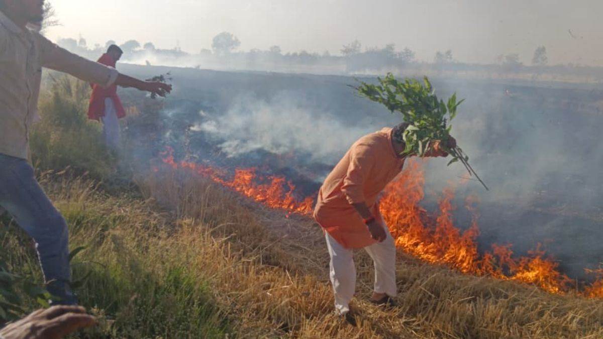 भोपाल के कुठार में आग का तांडव, 15 एकड़ गेहूं की फसल राख, 1000 एकड़ को बचाने के लिए जान पर खेल गए ग्रामीण