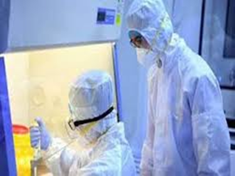Coronavirus Madhya Pradesh News : देश के औसत से भी ज्यादा इंदौर, भोपाल और उज्जैन में कोरोना की जांच