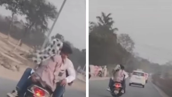 नेशनल हाईवे पर स्कूटी सवार युवक-युवती दिखे अश्लील हरकत और स्टंट करते, सरेराह लड़ा रहे थे इश्क, अश्लीलता देख लोगों में आक्रोश