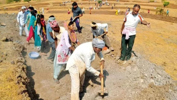 29.55 करोड़ के घोटाले के बाद भिंड में मनरेगा ठप, 2400 काम अधूरे; कार्रवाई फाइलों में अटकी