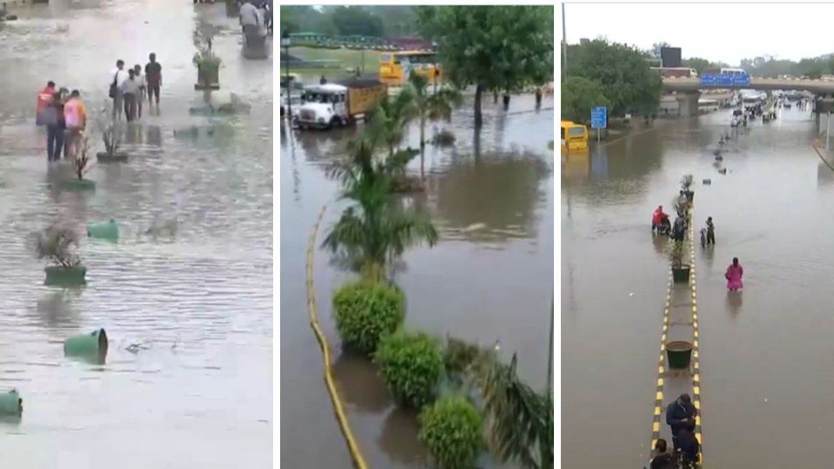 School Closed: दिल्ली-हरियाणा में सड़कें बनीं 'समंदर', देखिए वीडियो, इस राज्य में स्कूल बंद