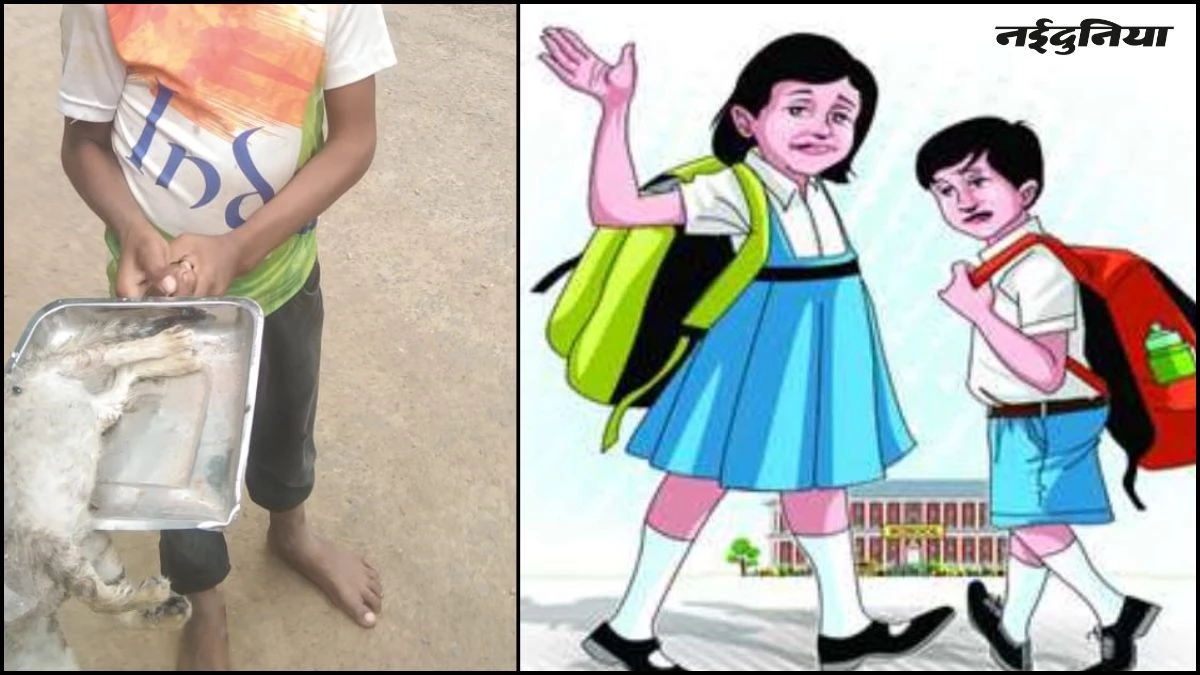 स्कूल में पढ़ने आए बच्चे से उठवाई मरी हुई बिल्ली, टीचर के जवाब सुनकर दुख होगा