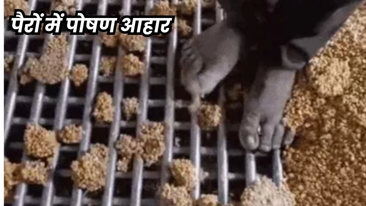 रीवा के टीएचआर प्लांट में पैरों से रौंदकर बनाए पोषण आहार का वीडियो वायरल, कलेक्टर ने दिए जांच के निर्देश