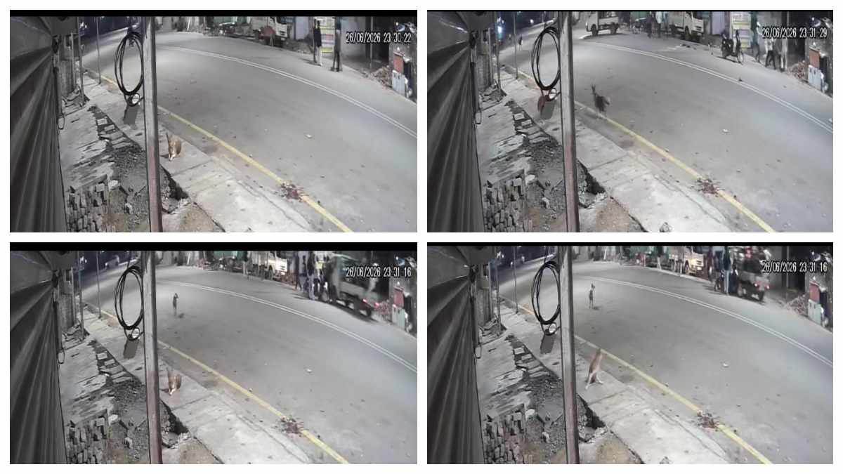 एक्सीडेंट की आड़ में हत्या का प्लान फेल; बिलासपुर में छोटा हाथी से कुचलकर बल्ली से प्रहार, CCTV में कैद