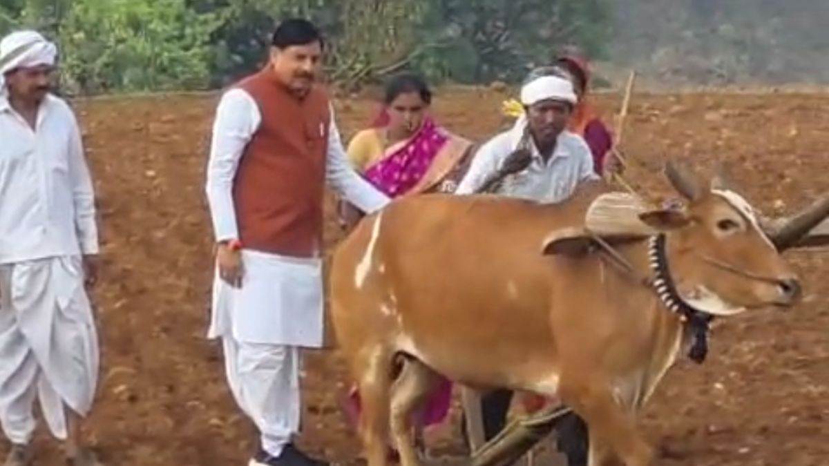 बैतूल के कुकरू में किसान के खेत पहुंचे सीएम मोहन यादव, खुद हल चलाकर की मक्के की बुवाई