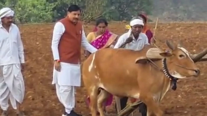 बैतूल के कुकरू में किसान के खेत पहुंचे सीएम मोहन यादव, खुद हल चलाकर की मक्के की बुवाई