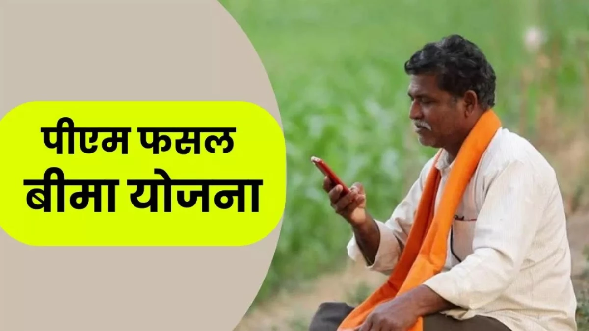 PM Fasal Bima Yojana: अगर धान हो रहा है बर्बाद तो सरकार देगी मुआवजा, करना होगा ये काम
