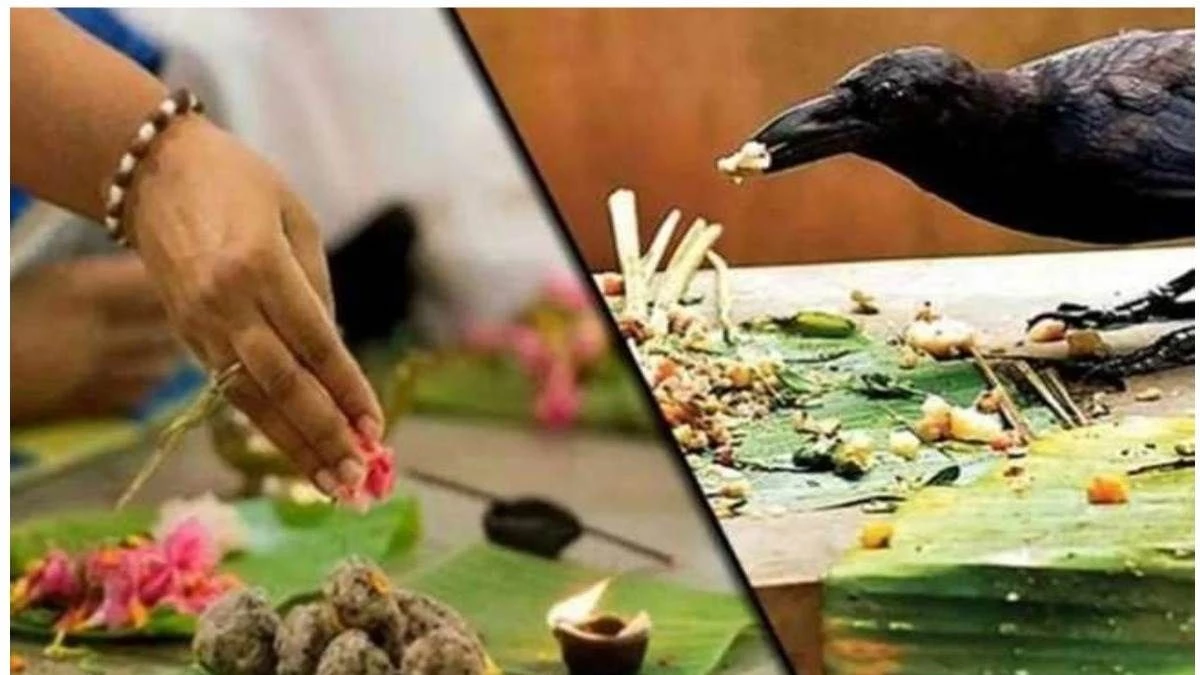 Pitru Paksha Dates 2024: कब से शुरू हो रहा पितृ पक्ष, नोट करें तिथियां व प्रार्थना मंत्र