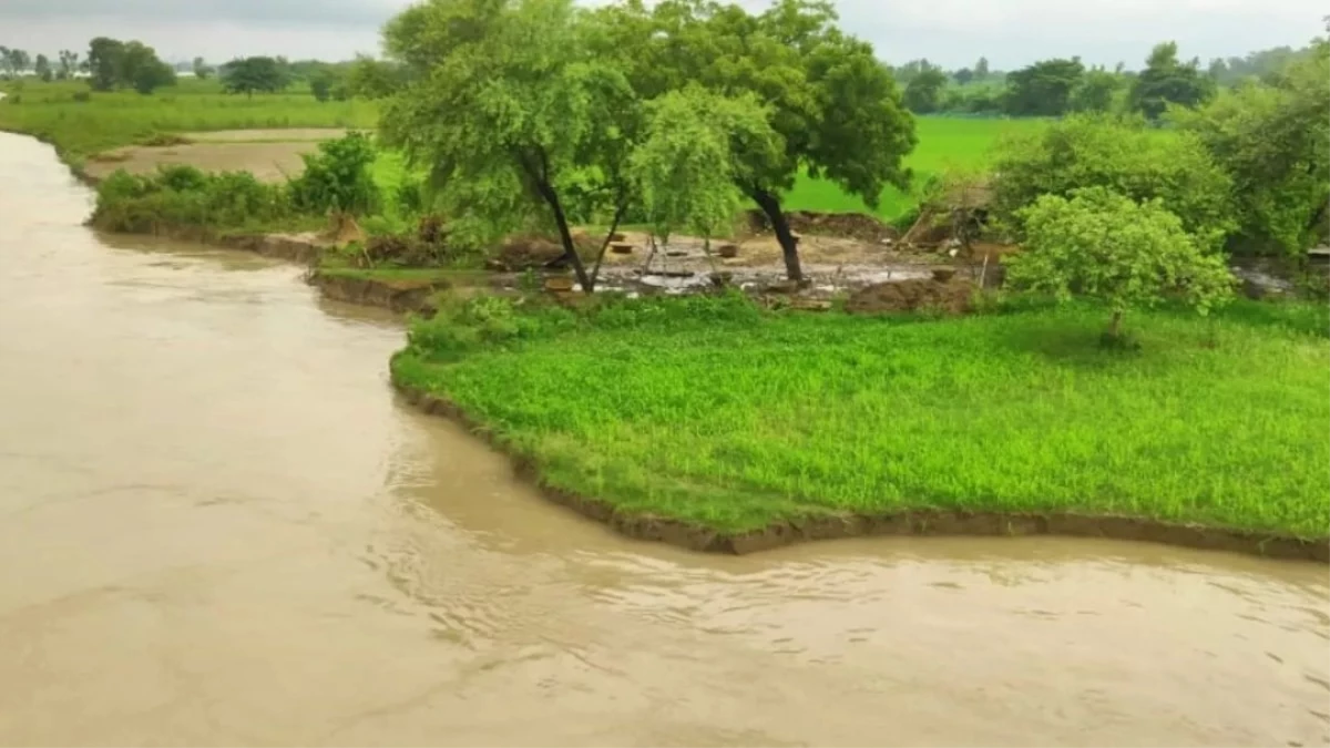 नदी में गिरे दो मासूमों को मां ने अपनी जान जोखिम में डालकर बचाया