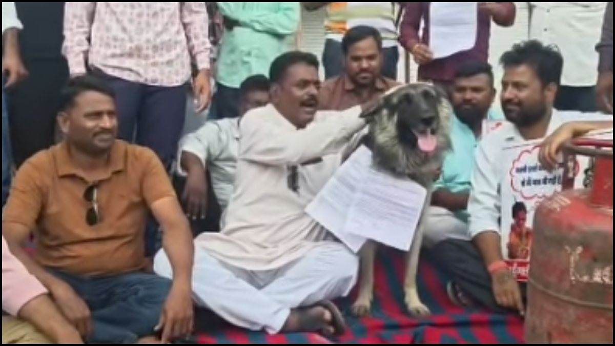 रतलाम में कांग्रेस का अनोखा प्रदर्शन, नायब तहसीलदार के न मिलने पर कुत्ते के गले में बांधा ज्ञापन, वीडियो वायरल