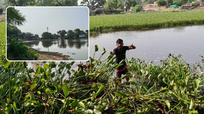 भिंड में मिसाल: 90 साल पुराना तालाब युवाओं के श्रमदान से हुआ 'जवान', अब बनेगा पिकनिक स्पॉट