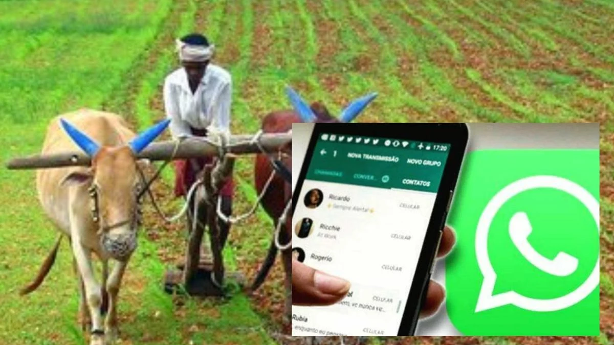 Kisan Whatsapp Group: किसानों को सहूलियत, व्हाट्सएप ग्रुप बनाकर पटवारी दे रहे हर योजना की जानकारी