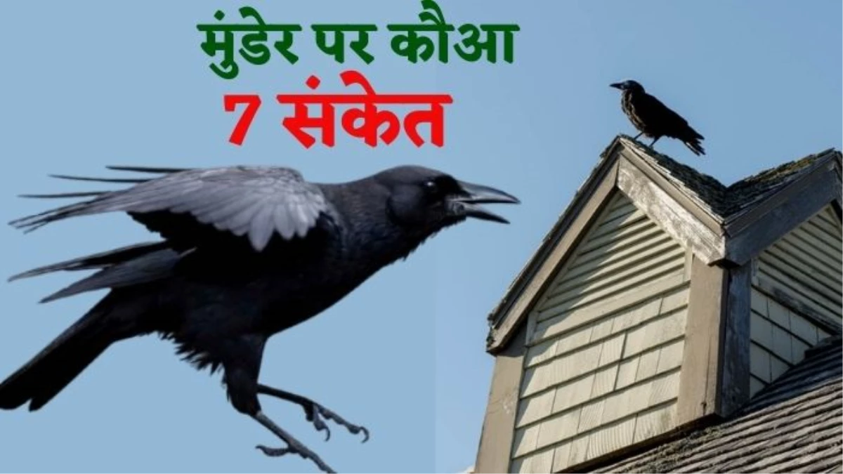 घर की मुंडेर या छत पर कौए का आना देता है 7 संकेत, इस इशारे से आदमी हो जाता है मालामाल