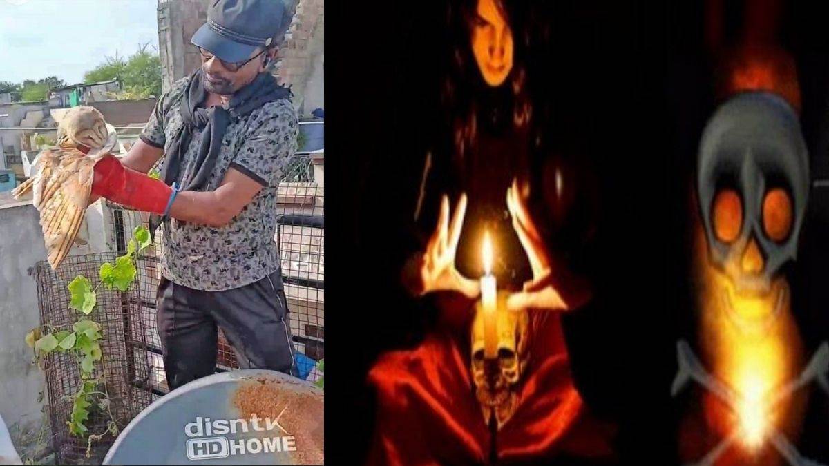 तांत्रिक क्रिया के लिए उल्लू को घर की छत पर टांगा, अब हिरासत में आरोपी