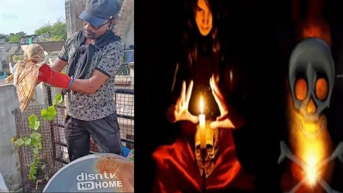 तांत्रिक क्रिया के लिए उल्लू को घर की छत पर टांगा, अब हिरासत में आरोपी