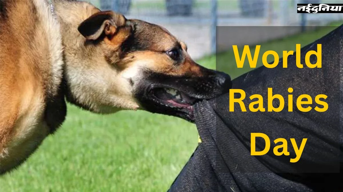 World Rabies Day 2025: एक तरफ सड़कों पर कुत्तों का आतंक, दूसरी तरफ अस्पताल में रैबीज टीके की कमी