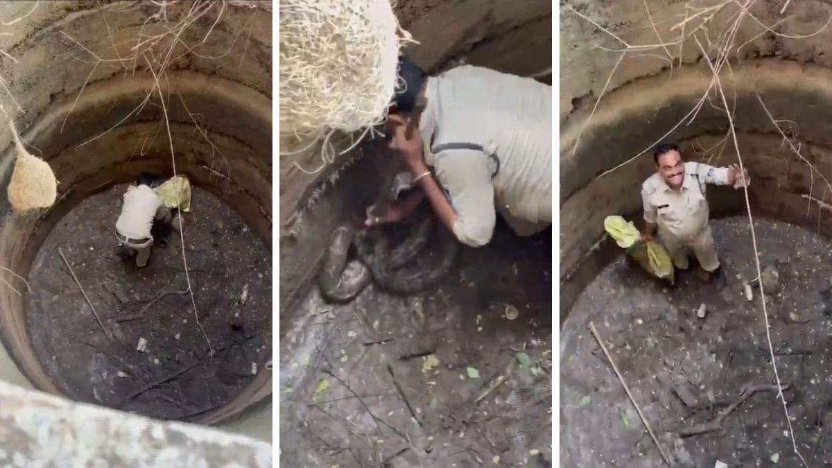 नर्मदापुरम में आरक्षक की जांबाजी: गहरे कुएं में उतरकर अकेले पकड़ा अजगर, वही...