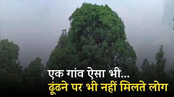 भारत का एक ऐसा गांव! जहां ढूंढने पर भी नहीं मिलते लोग, कारण जानकर सिर पकड़ लेंगे आप