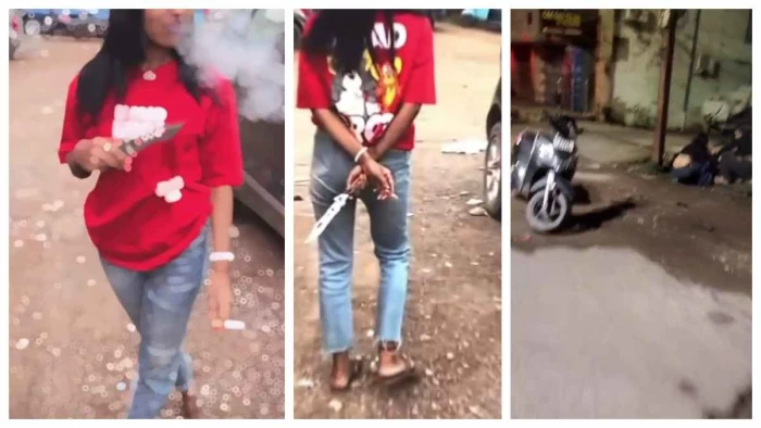 बिलासपुर में लड़कियों का वीडियो वायरल, हाथ में सिगरेट, शराब और चाकू लहराते आई नजर