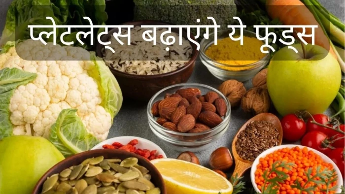 वायरल या डेंगू की वजह से गिर रही हैं प्लेटलेट्स तो ये चीजें बढ़ा सकती हैं आपके खून में प्लेटलेट्स