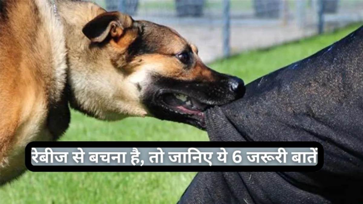 कुत्‍ते के काटने से बने घाव के रास्‍ते वायरस मस्तिष्‍क तक पहुंचता है, फिर लगता है पानी से डर, विश्व रेबीज दिवस आज