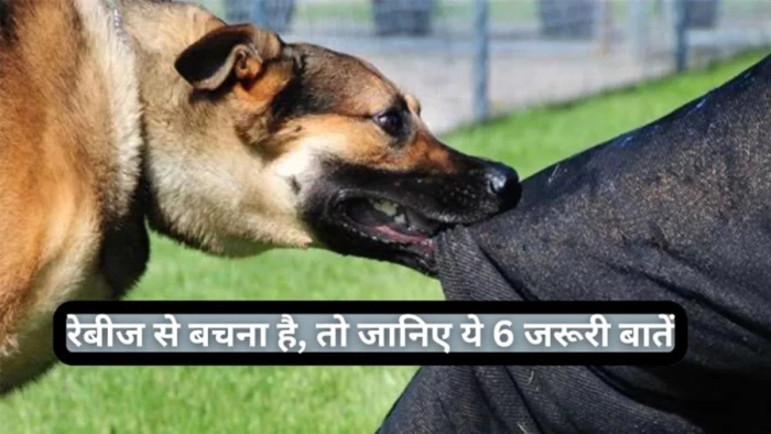 कुत्ते के काटने से बने घाव के रास्ते वायरस मस्तिष्क तक पहुंचता है, फिर लगता है पानी से डर, विश्व रेबीज दिवस आज