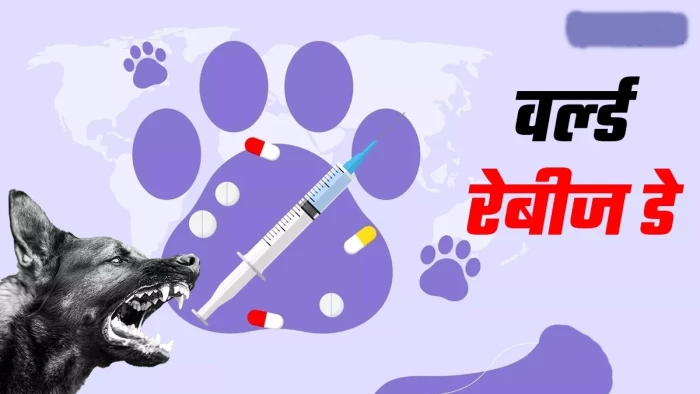 रैबीज एक बार हो जाए तो मौत निश्चित है, कुत्ते के अलावा किन जानवरों के काटने से है खतरा