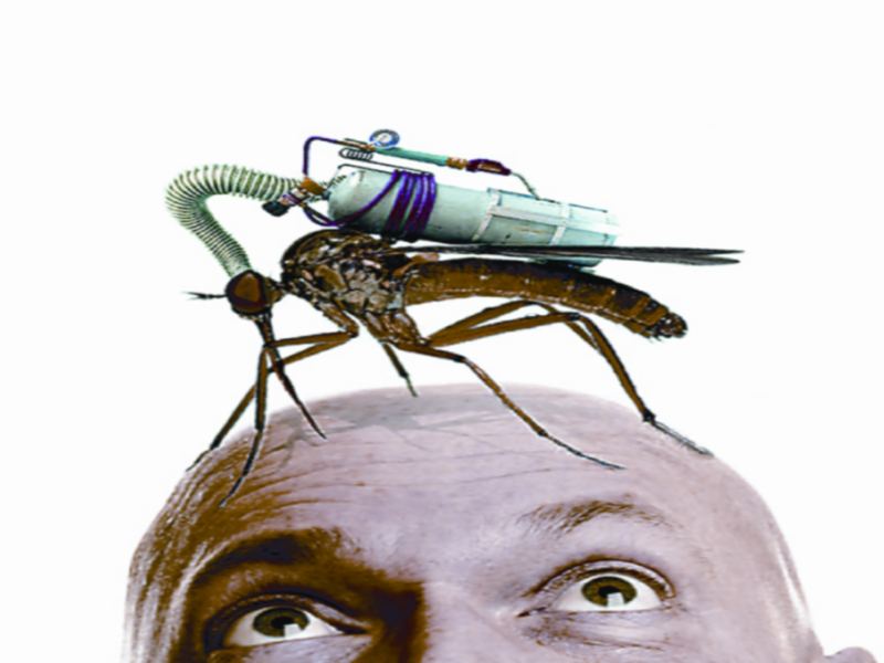 Dengue in Gwalior: डेंगू से बचने के लिए हफ्ते में एक बार घर की टंकियों को खाली करके जरूर सुखाएं