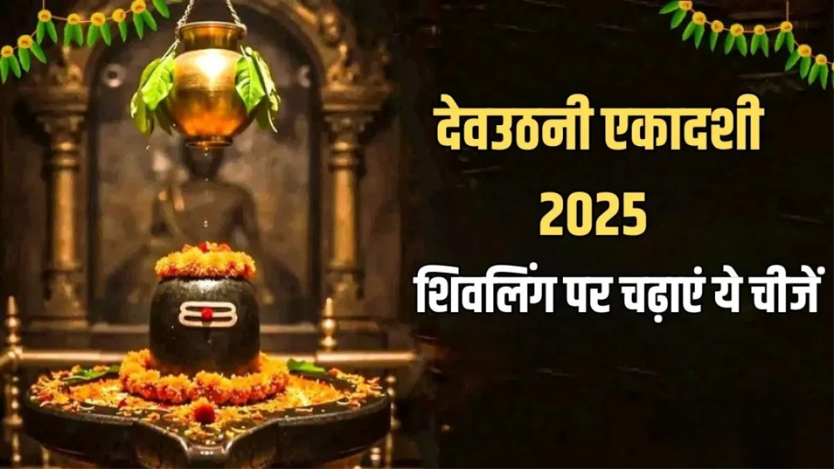 Dev Uthani Ekadashi 2025: देवउठनी एकादशी के दिन शिवलिंग पर चढ़ाएं ये खास चीजें, जीवन के सभी दुख होंगे दूर