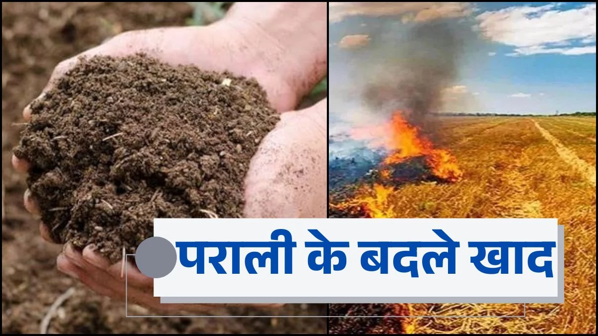 'पराली दीजिए, खाद लीजिए...', प्रदूषण रोकने के लिए यूपी सरकार की अनोखी पहल, जानें क्या है योजना