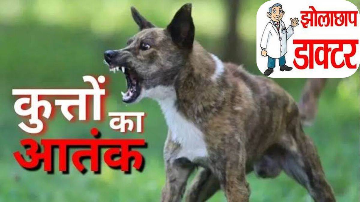 छत्तीसगढ़ के सूरजपुर जिले में पागल कुत्ते के काटने के बाद झोलाछाप ने लगा दिए टांके, साढ़े तीन साल के मासूम की मौत
