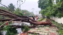 Cyclone Arnab: आंध्र प्रदेश में 2 की मौत, ओडिशा के 16 जिलों में स्कूल बंद, 30 हजार से ज्यादा लोग सुरक्षित जगहों पर शिफ्ट