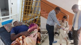 डिंडौरी में खेत में काम कर रहे किसान पर हाथी का हमला, हाथ-पैर में फ्रैक्चर; कमर में भी चोट