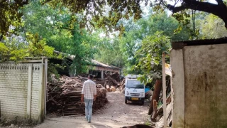 कटनी में पूर्व भाजपा जिलाध्यक्ष के टाल सहित तीन ठिकानों पर आयकर विभाग की टीम ने दी दबिश