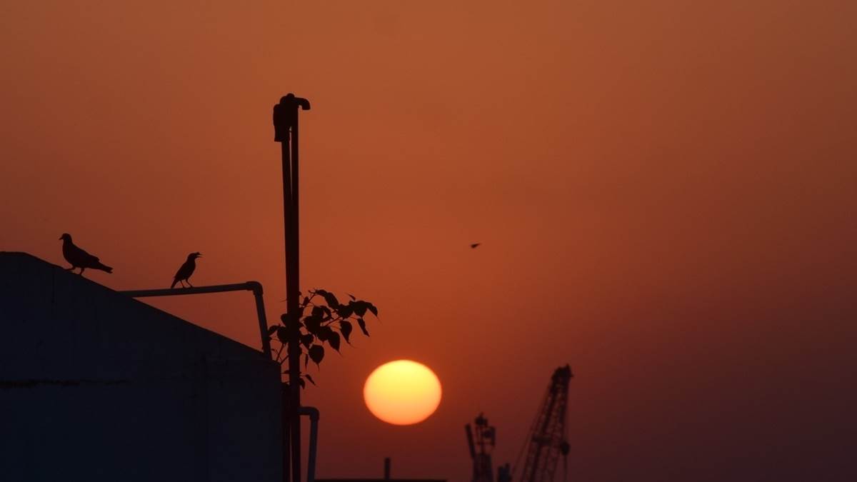 MP Weather Update: 10 के नीचे आया पारा ... ठिठुर रहा जबलपुर व अंचल, सात डिग्री तक पहुंच सकता है न्यूनतम तापमान