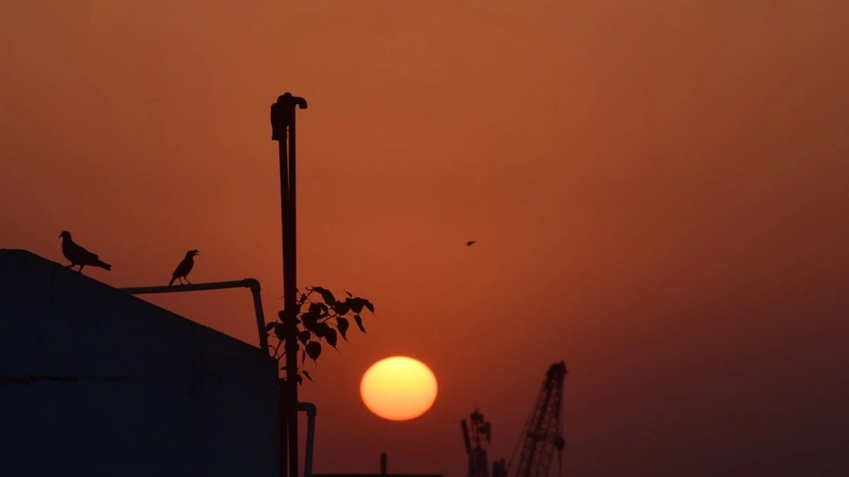 MP Weather Update: 10 के नीचे आया पारा ... ठिठुर रहा जबलपुर व अंचल, सात डिग्री तक पहुंच सकता है न्यूनतम तापमान