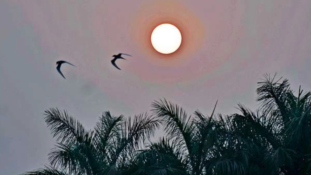 MP Weather Update: मध्य प्रदेश में मौमस के दो रंग, कहीं रजाई में दुबके लोग तो कही गर्मी भगाने चला रहे पंखा