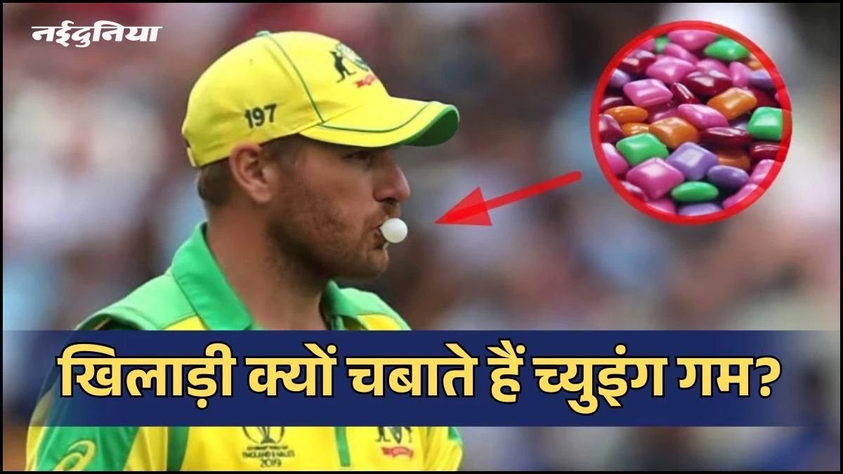 खिलाड़ी क्यों चबाते हैं च्युइंग गम? सिर्फ शौक नहीं, इसके पीछे है बड़ी वजह, जानकर हो जाएंगे हैरान