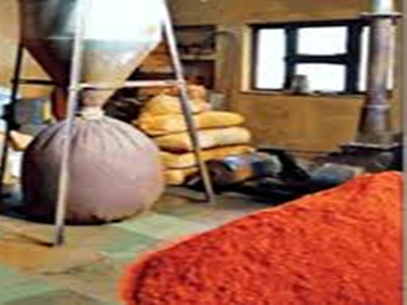 Gwalior News मिर्च में निकली लाल रंग की मिलावट, धनिया में डंठल का