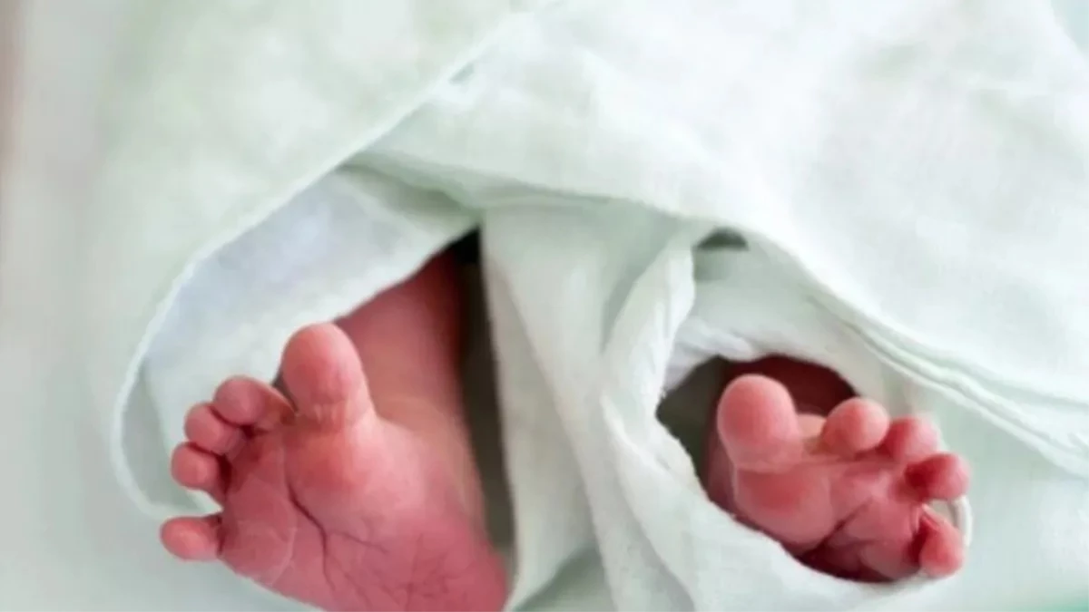 विदिशा में मानवता शर्मसार... श्मशान घाट के पास कुत्ते नोच रहे थे नवजात का शव, पुलिस ने दोबारा कराया दफन