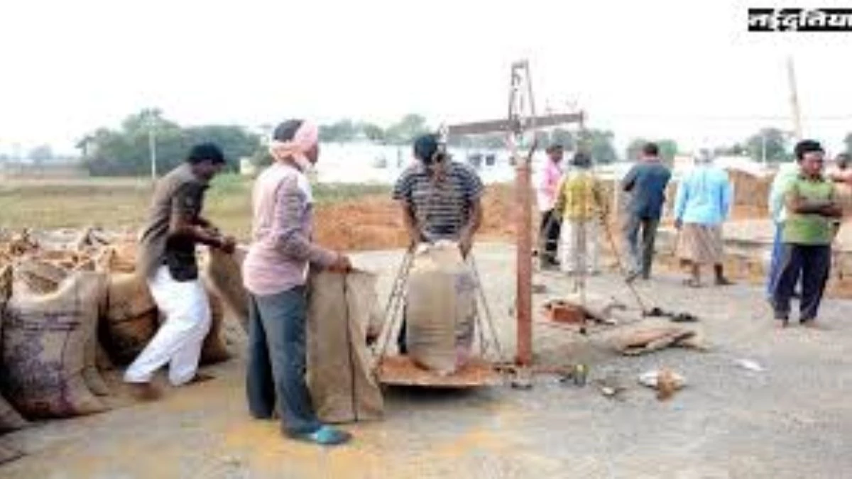 अन्नदाता के चेहरे पर मुस्कान, 1.69 लाख मीट्रिक टन धान की खरीदी, किसानों के खातों में पहुंचे 165 करोड़ रुपये