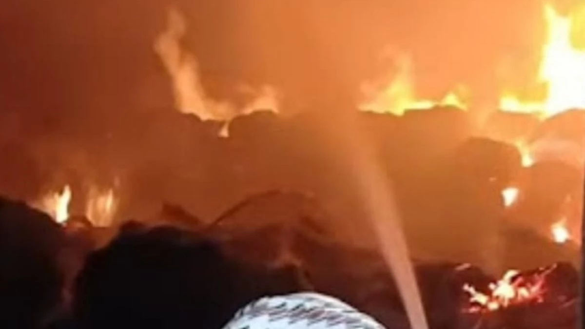 MPWLC गोदाम में भीषण आग, लाखों का अनाज खाक MPWLC गोदाम में भीषण आग, लाखों का अनाज खाक