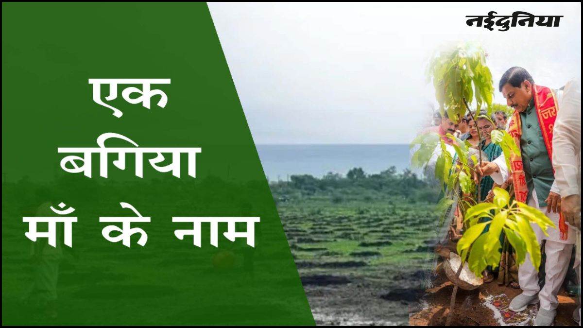 एमपी में महिला आत्मनिर्भरता की मुहिम को झटका, 'एक बगिया मां के नाम' योजना में 5 जिले फिसड्डी, 32 से 41 प्रतिशत ही हुआ काम