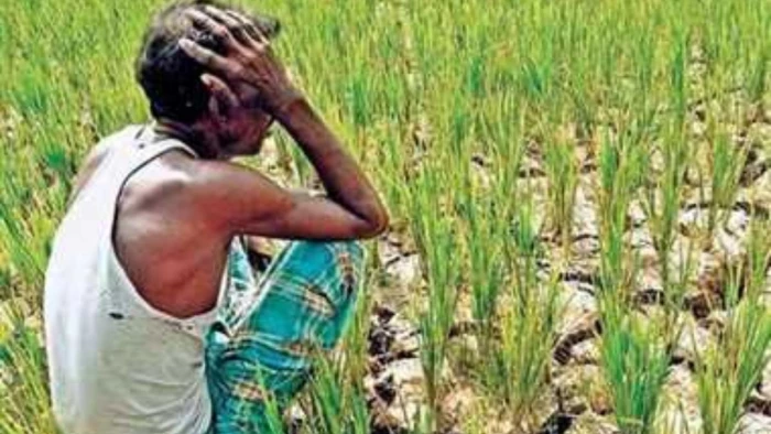 शून्य प्रतिशत ब्याज पर कृषि ऋण चुकाने की डेडलाइन खत्म होने से किसान परेशान, सीएम मोहन यादव को जीतू पटवारी ने लिखी चिट्ठी