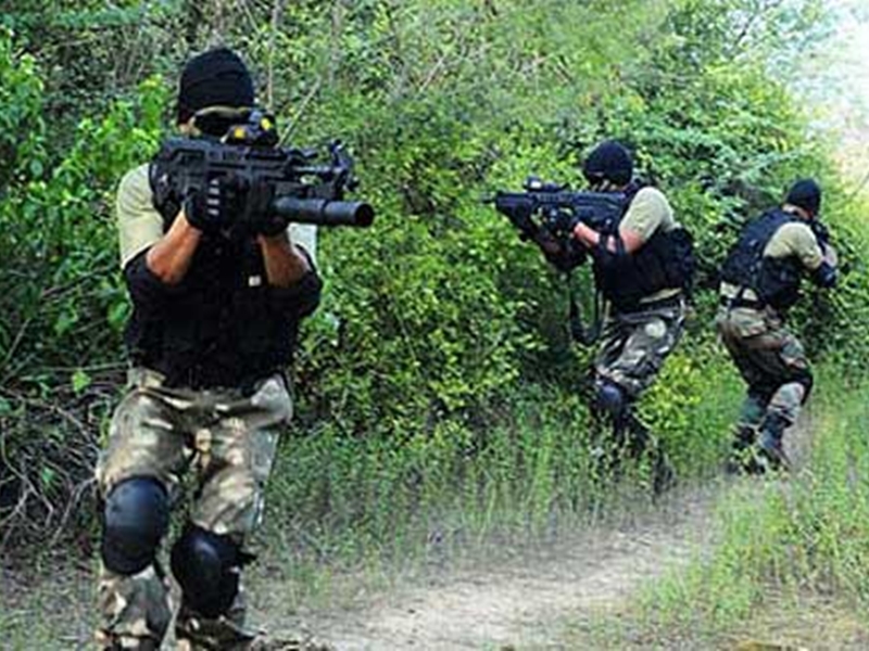 भारत ने चीन सीमा पर घातक कमांडो किए तैनात, जानिए कितने खतरनाक हैं ये India deployed Ghatak