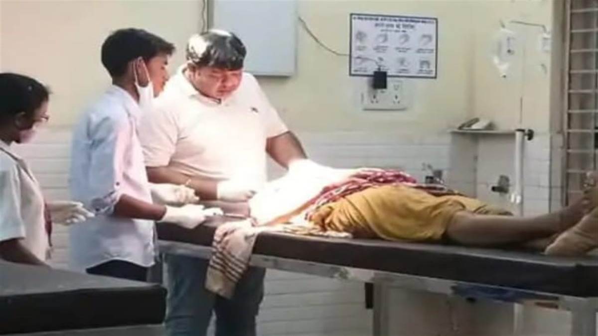 Korba News: जंगल में पुटू संग्रहण कर रही महिला पर भालू ने किया जमला