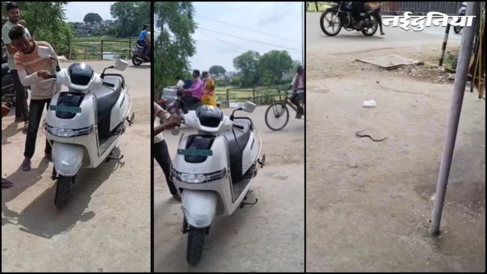 चलती स्कूटी से अचानक बाहर निकला सांप का फन, डर के मारे सड़क पर गाड़ी छोड़ भागी युवती, मची अफरा-तफरी